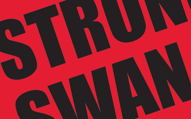 StrongSwan to FortiGate VPN Tunnel